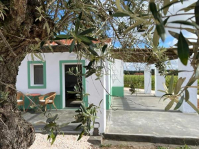 Fonte Freixo, em Borba, Alentejo